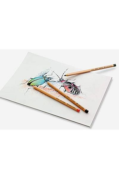 Mena Rise Şirinshop Pitt Monochrome Paint Pen Ivory 1108107