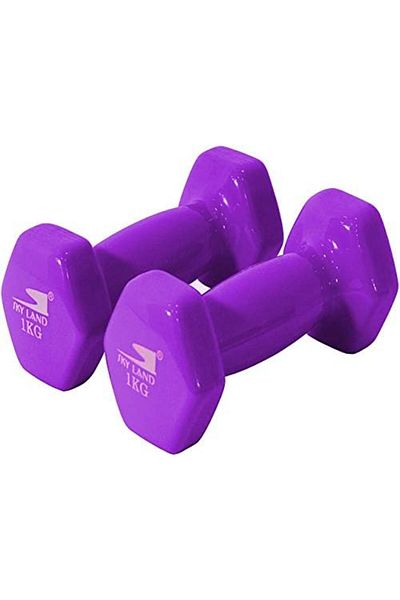 Skyland Sky Land Vinyl Dumbbells / Pair of Hand Weights / Vinyl Coated Dumbbells for Home Gym and Fitness Eq