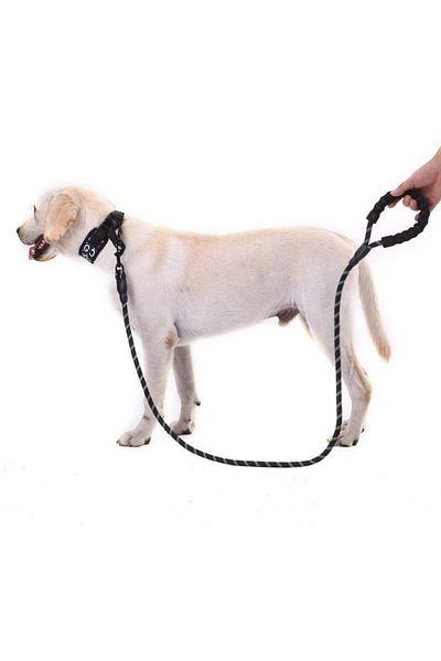 MBB ETİCARET Dog Collar Reflective 130 cm Rope Black for Medium and Large Size Dogs