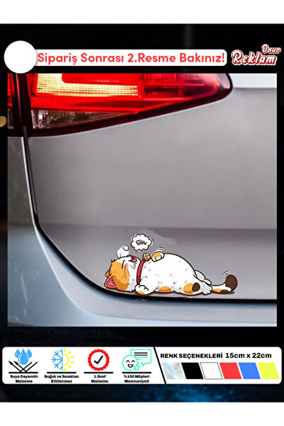 Onur Reklam 3’lü Sevimli Kedi Sticker Seti – Araba Camı & Laptop & Kask Etike...