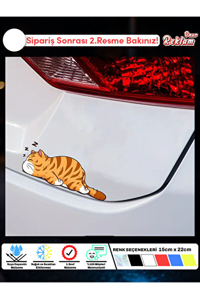 Onur Reklam 3’lü Sevimli Kedi Sticker Seti – Araba Camı & Laptop & Kask Etike...