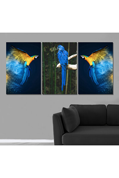 4gdran ثلاث لوحات قماشية بتصميم ببغاء مع برواز شامبين مجوف