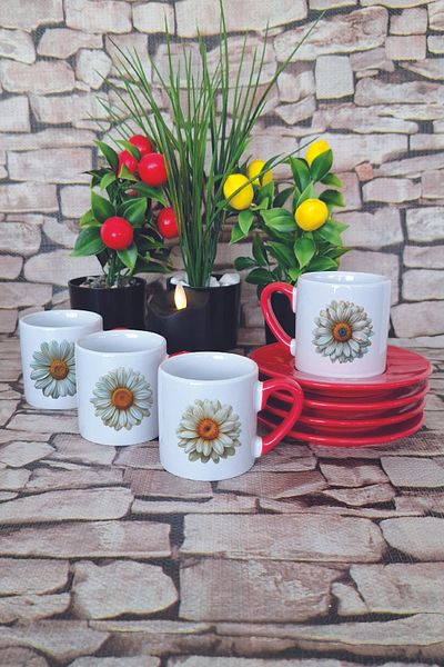 giftkonsept Daisy Printed Red 4-Piece Porcelain Turkish Coffee Cup Set