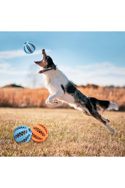 OtoXLarge Mama Hazneli Köpek Eğitim Ve Oyun Topu