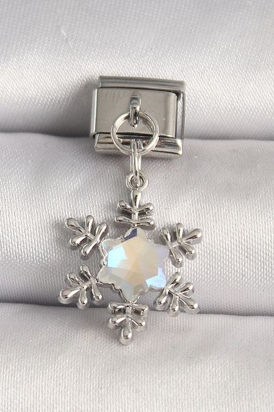 Clariss 316L Steel Silver Color Zircon Stone Snowflake Model Nomination Charm