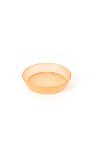 Generic Classic Round Planter Saucer Assorted 9x9x2.5cm – Durable Base for Plant Pots