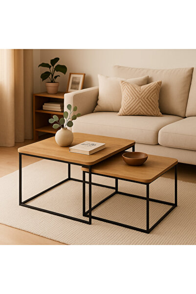 GKN CONCEPT İkili DUO Orta Sehpa