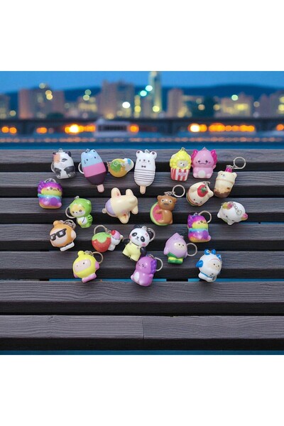 Kuzey 5 BUC. MODEL SURPRISE SUCHI BRELOCAJ JUCĂRIE SENSĂ SUCHI CADOURI DE ANI...