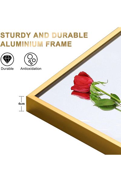 Living Rectangular Standing Mirror with Gold Frame ,160*50 cm