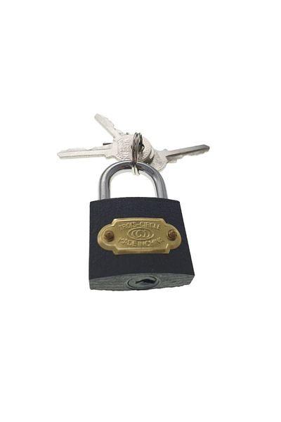 OEM Trois Circle LC32 padlock, steel, 32mm, 3 keys, gray