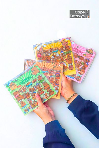 caps anlarınızı paylaştığınız ortağınız 4 Pieces Cute Capybara Themed Transparent Sticker Set |   320+ Cute Stickers