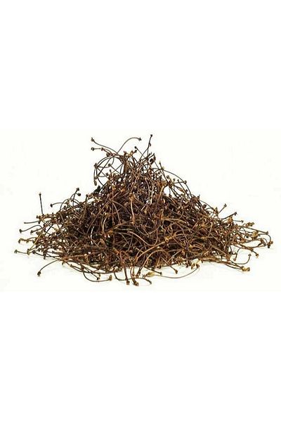 DVD Lokman Aktar Cherry Stem 25 Gr 1Piece, Lokman Aktar