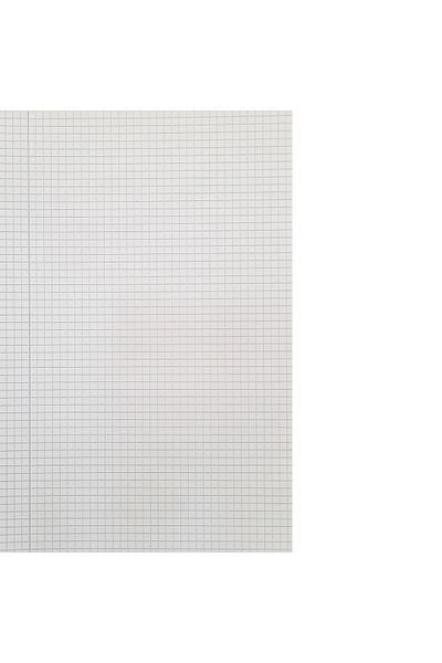 FLR Student notebook MATHEMATICS, A4, 100 sheets, 6 notebooks/set + 10 FLR note cards