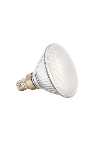 Siera 17W IP65 PAR80 Glass Stone Ceiling Light Bulb