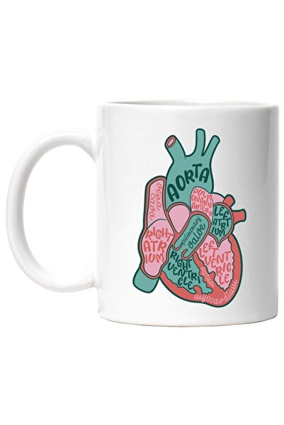 INOVATIX Cana alba personalizata, Inima, Anatomie, Componente, Biologie, Card...