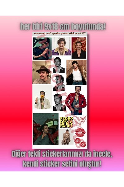 merccuri crafts Pedro Pascal Aesthetic Sticker (17+Pcs High Quality) - for Notebook Agenda, Laptop, Scrapbooking