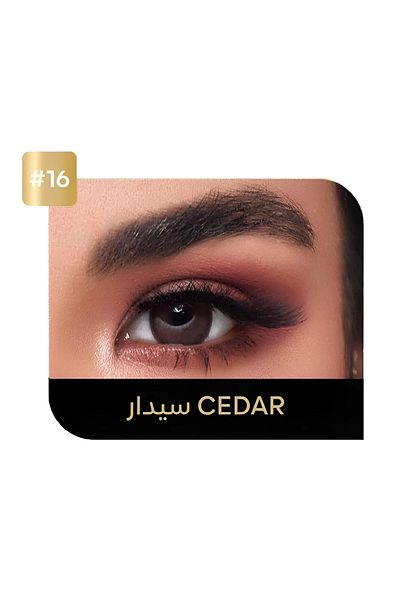 Ecco Echo Daily Lenses - Cedar