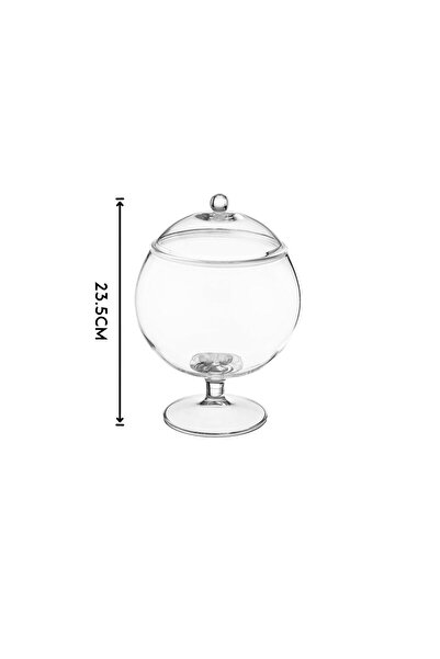 ABAREEK Multipurpose Dessert Serving Bowl with Lid and Base in Attractive Design (1 Piece) Clear/Gold