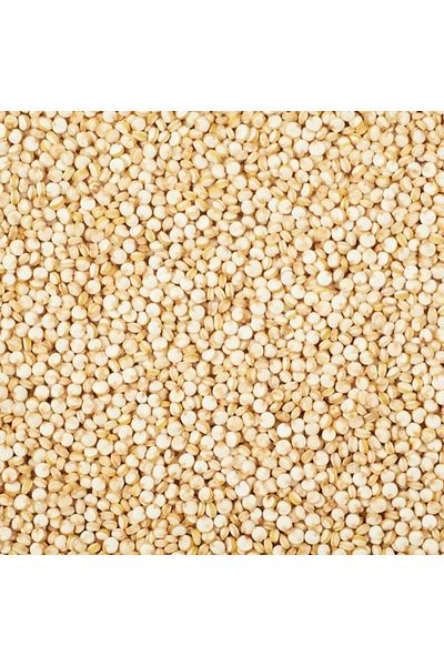 Others بذور الكينوا البيضاء الطبيعية بوزن 500 غرام