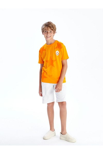 LC Waikiki Sari Crew Neck Printed Boy's T-Shirt