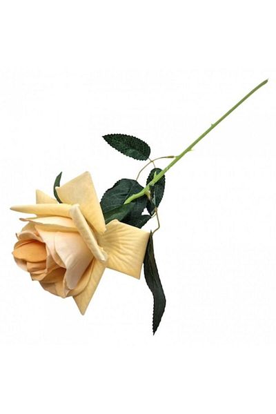 OEM Floare artificială, tulpină de trandafir, 50 cm, crem
