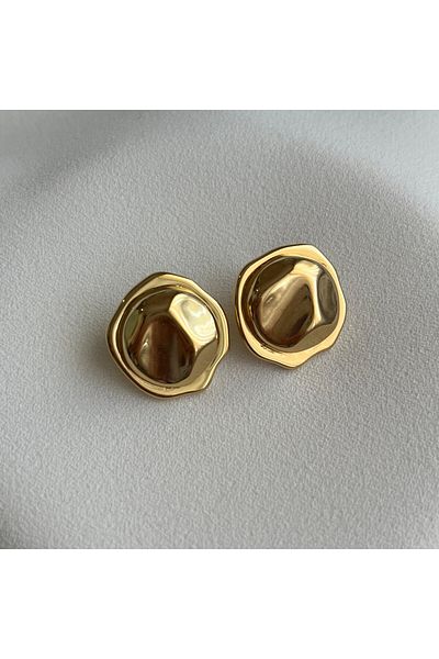 Arye Aksesuar Steel Earrings