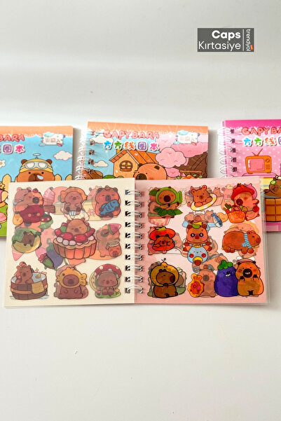 caps anlarınızı paylaştığınız ortağınız 2Pcs Capybara Themed Spiral Notepad and Sticker Set 120+ Transparent Stickers 48 Sheets Note Space