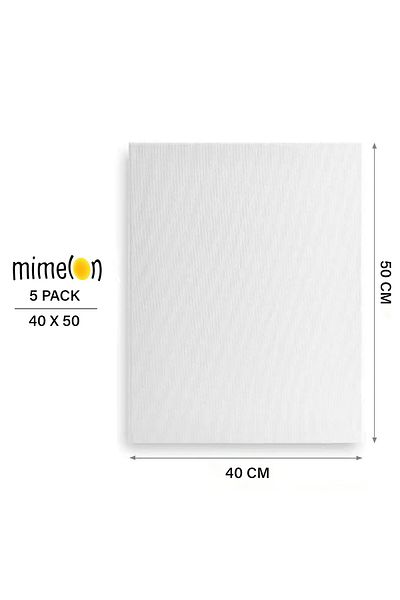 Mimelon 5 Pack Canvas Boards for Painting, 40 X 50 CM Cotton Blank Painting Canvas Board Canvas Panel