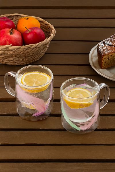 Perotti 16792 Double Feather Double Wall Mug 2 Pieces 300 ml