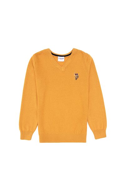 U.S. Polo Assn. Boy's Mustard Basic V-Neck Sweater 50269036-Vr072