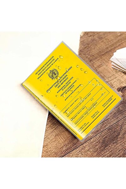 parti Set pașaport/husă pașaport, 3 bucăți, plastic, transparent, 200 x 138 mm