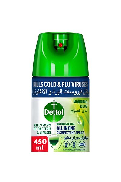 Dettol Morning Dew Antibacterial All in One Disinfectant