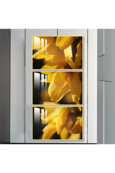 SND ثلاث لوحات جدارية خشبية مع برواز خشبي ذهبي و طبقة من الاكريلك الشفاف