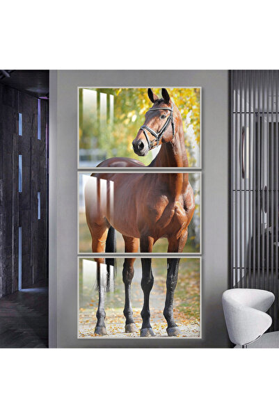 Marktna ثلاث لوحات جدارية خشبية مع برواز خشبي فضي و طبقة من الاكريلك الشفاف