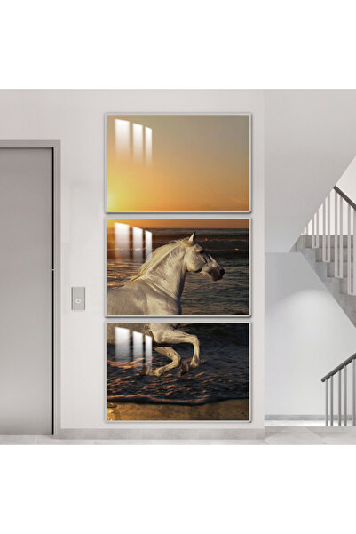 SND ثلاث لوحات جدارية خشبية مع برواز خشبي فضي و طبقة من الاكريلك الشفاف