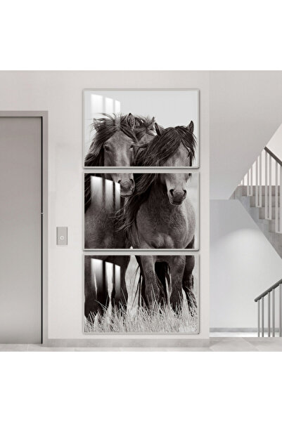 Marktna ثلاث لوحات جدارية خشبية مع برواز خشبي فضي و طبقة من الاكريلك الشفاف