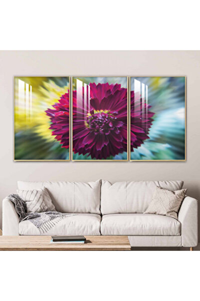 4gdran ثلاث لوحات جدارية خشبية مع برواز خشبي شامبين و طبقة من الاكريلك الشفاف