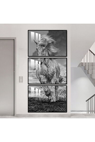 SND ثلاث لوحات جدارية خشبية مع برواز خشبي اسود و طبقة من الاكريلك الشفاف