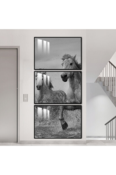 SND ثلاث لوحات جدارية خشبية مع برواز خشبي اسود و طبقة من الاكريلك الشفاف