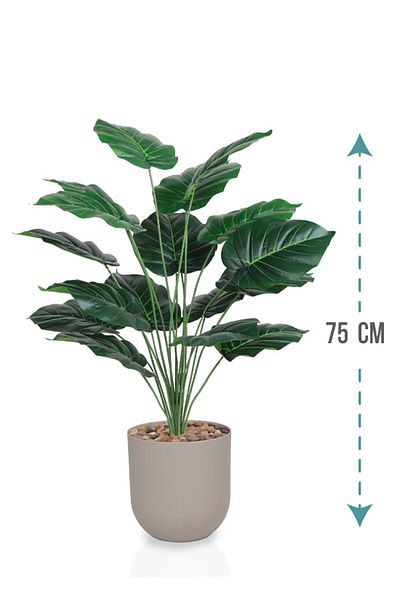 Generic Artificial Dark Heart Leaf Seedling (Alocasia 18 Branches) in a Plastic Cylinder Pot