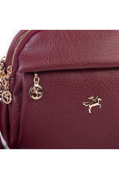 Nas Bag Geantă de umăr și crossbody pentru femei cu mai multe compartimente (25x20 cm) Roșu Claret Victoria