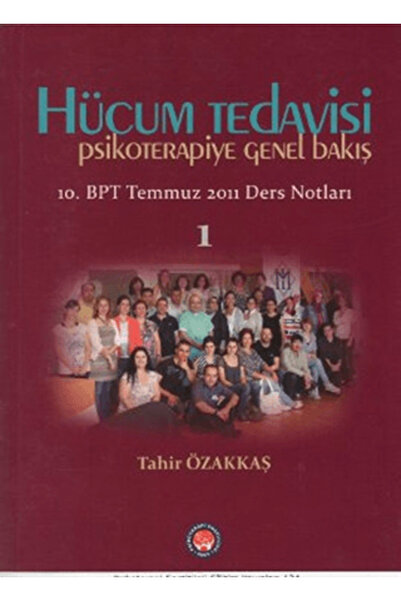 Psikoterapi Enstitüsü Hücum Tedavisi / Psikoterapiye Genel Bakış