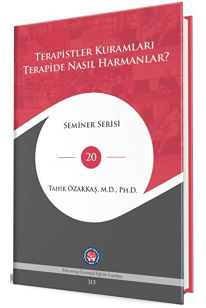 Psikoterapi Enstitüsü Terapistler Kuramları Terapide Nasıl Harmanlar ? (Ciltli)
