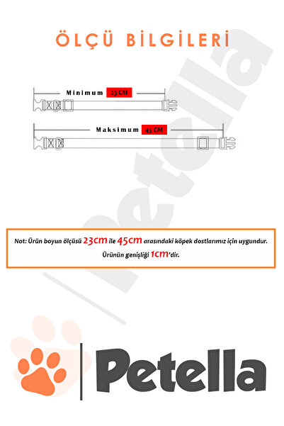 Petella Köpek Tasması İsimli Köpek Boyun Tasması Krem