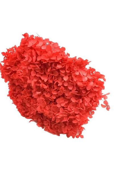 OEM Stabilized Flowers, Hydrangea, Red, 20 cm