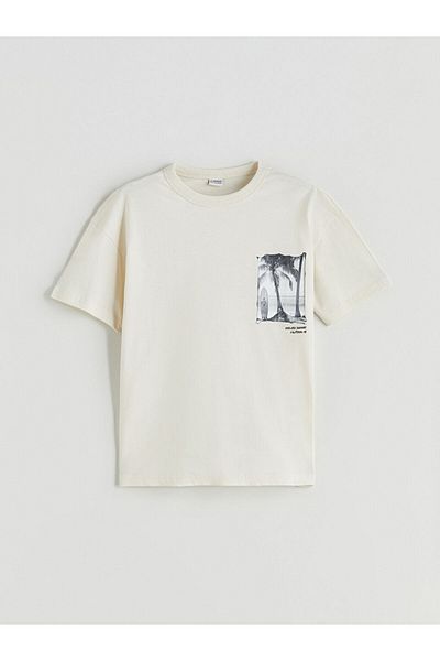 LC Waikiki Beige Crew Neck Boy's T-Shirt