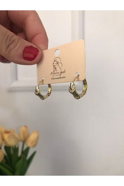 shop Stainless Steel 316L Fi̇yona Model Stone Minimal Shiny Non-Changeable Earrings