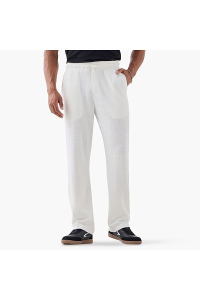 Iconic Regular Fit Textured Trousers with Pockets