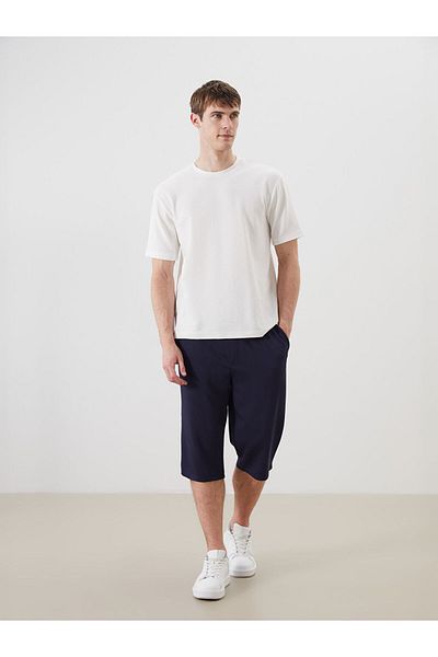 LC Waikiki Navy Blue Standard Fit Men's Shorts
