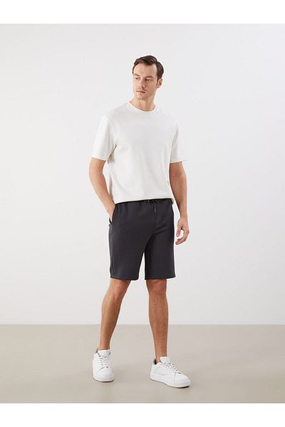 LC Waikiki Navy Blue Standard Fit Men's Shorts